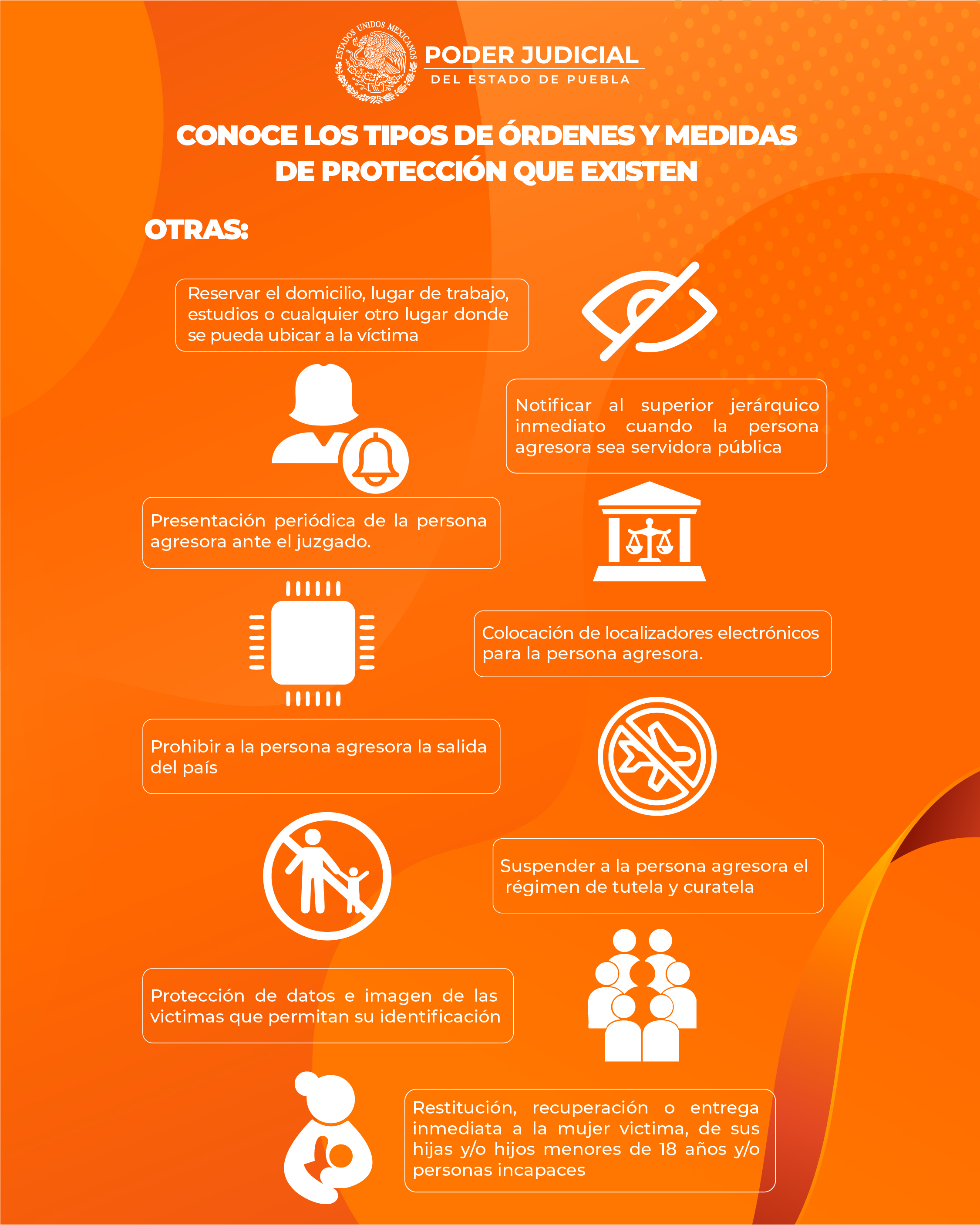 infografia_4.3