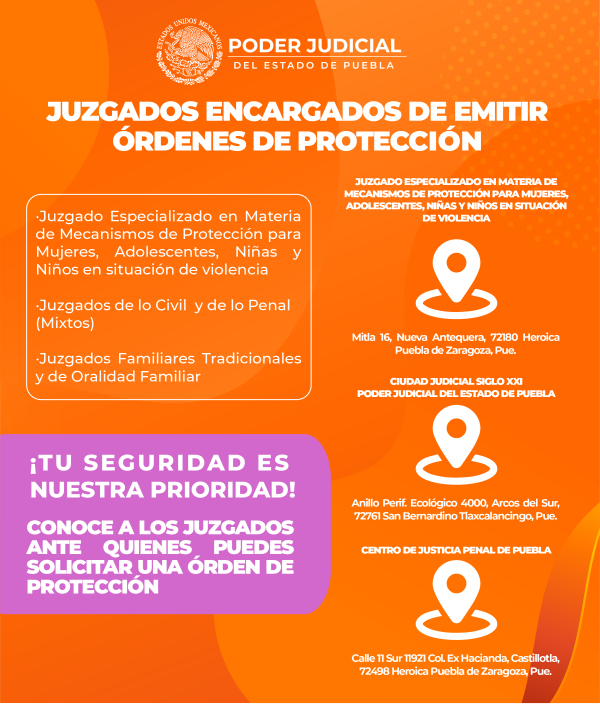 Infografia 17