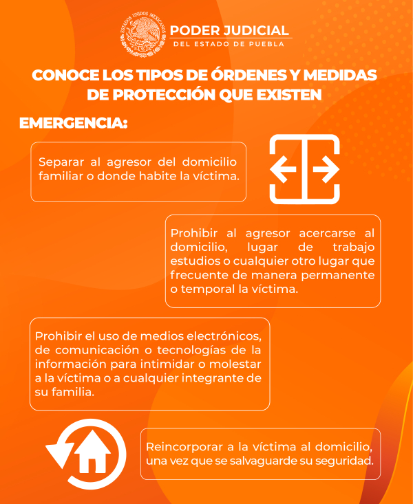 Infografia 10
