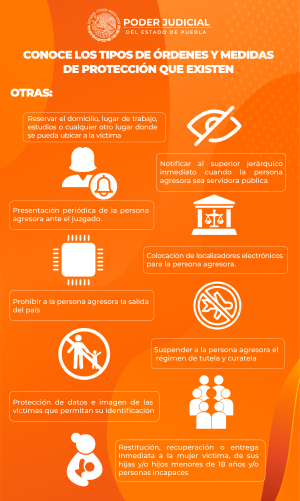 Infografia 13