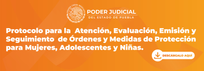 Banner mecanismos de protección infografias