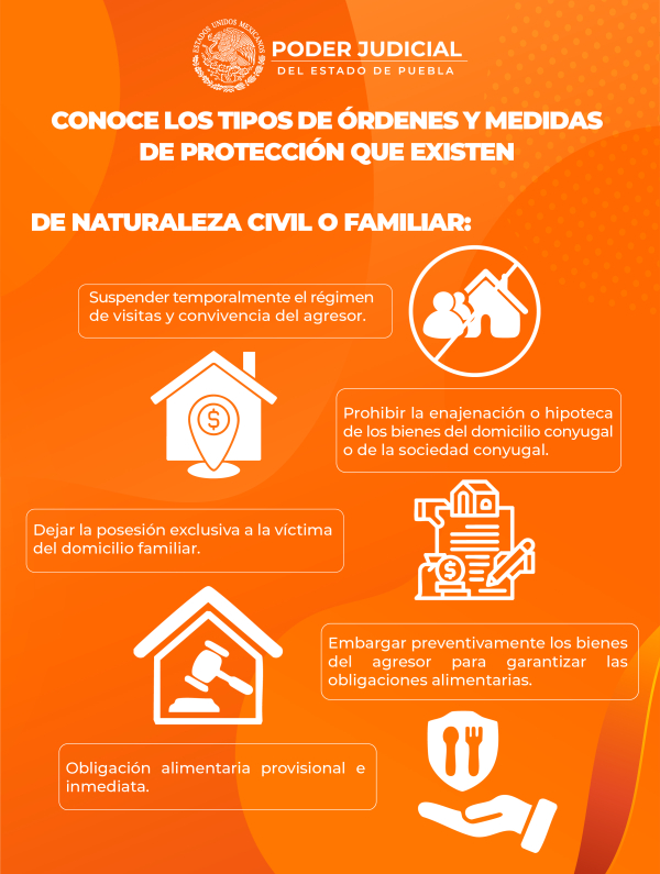Infografia 12
