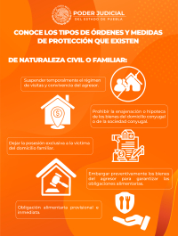 Infografia 12
