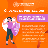 Infografia 14